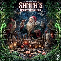 Santa's Secret Stash Bag