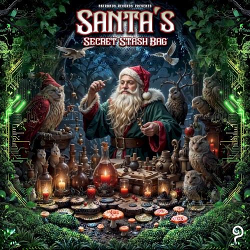 Santa's Secret Stash Bag