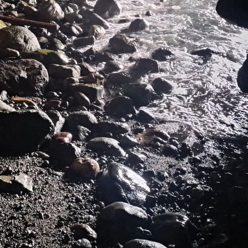 ambient kyoto 0023