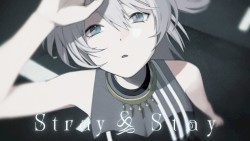 Stray & Stay
