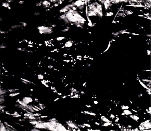 Presences of Absences
