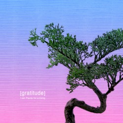 Gratitude