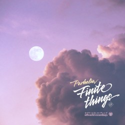 Finite Things