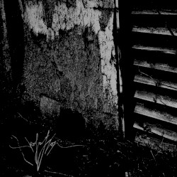Isolation