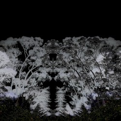 Into Nothingness