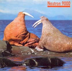 Walrus