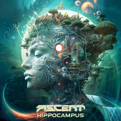 Hippocampus