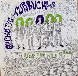 Ride The Wild Sounds