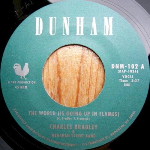 The World (Is Going Up in Flames)