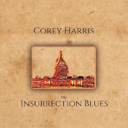 The Insurrection Blues