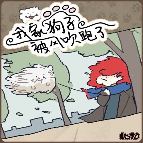 我家小狗被风吹跑了