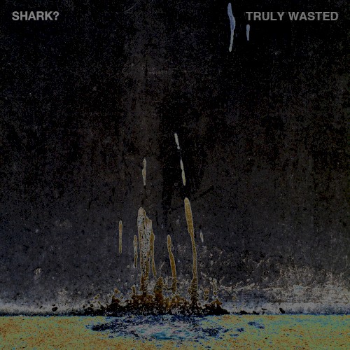 Truly Wasted EP
