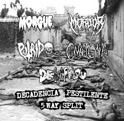 Decadencia Pestilente 5 Ways Split