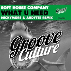 What You Need (Micky More & Andy Tee remix)