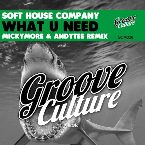 What You Need (Micky More & Andy Tee remix)