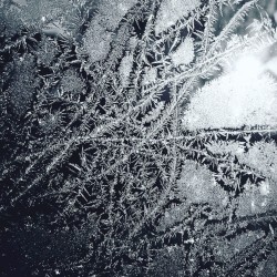 Sensitive Dependence on Initial Conditions