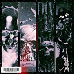 BONE COLLECTA