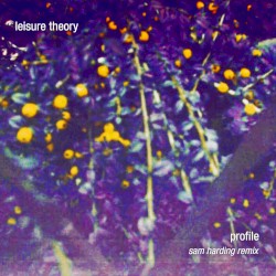 Profile (Sam Harding Remix)