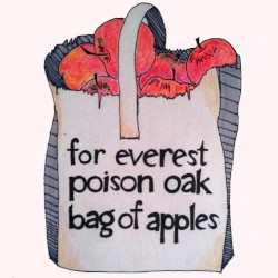 A Bag Of Apples (Split)
