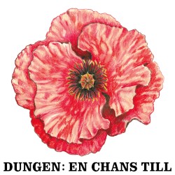 En chans till