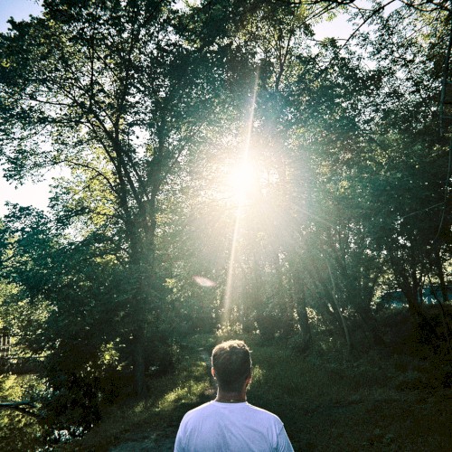 Dreamer II