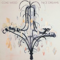 Nice Dreams