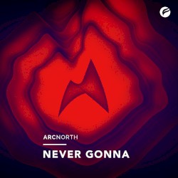Never Gonna
