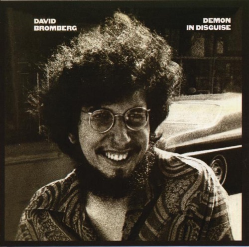 David Bromberg / Demon In Disguise