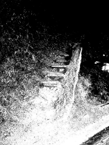 The Remains of Human Bones