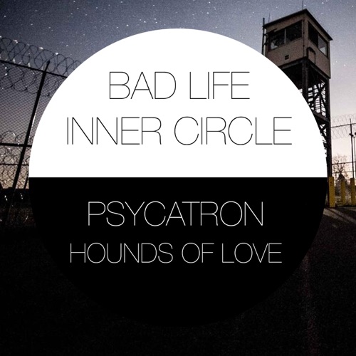 Psycatron presents Hounds of Love