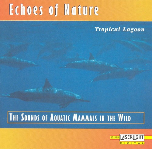 Echoes of Nature: Tropical Lagoon