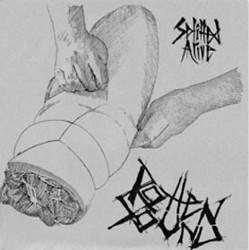 Splitted Alive / New Power Structure