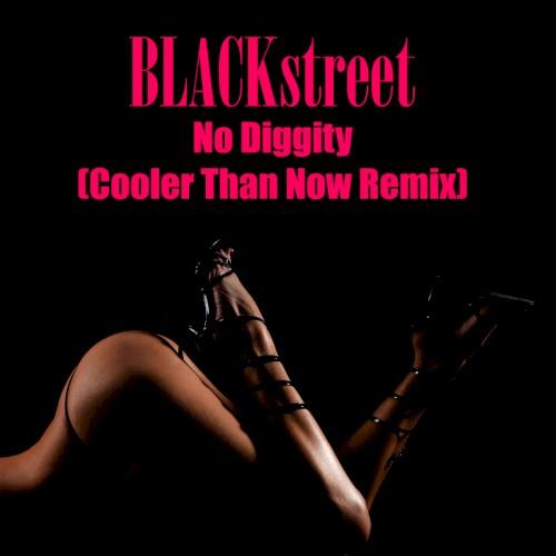 No Diggity (Cooler Than Now Remix)