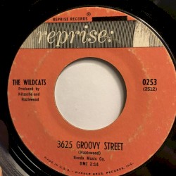 3625 Groovy Street / What Are We Gonna Do in '64?