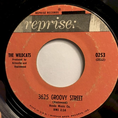 3625 Groovy Street / What Are We Gonna Do in '64?