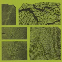 Geosyncline