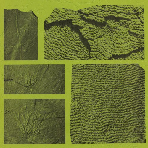 Geosyncline