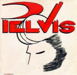 Pelvis 2