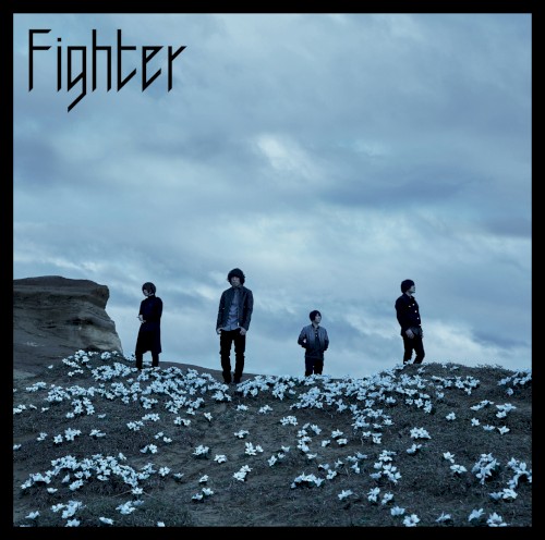 Fighter