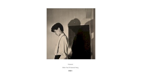 Polaroid 寶麗來
