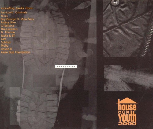 Streetwise: House Our Youth 2000