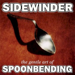 The Gentle Art of Spoonbending