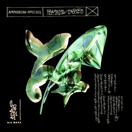Amphibian Species