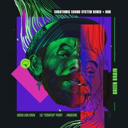 Green Brain (Subatomic Sound System Remix & Dub)