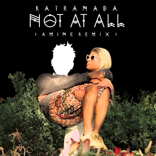 Not at All (Aminé remix)