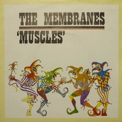 Muscles
