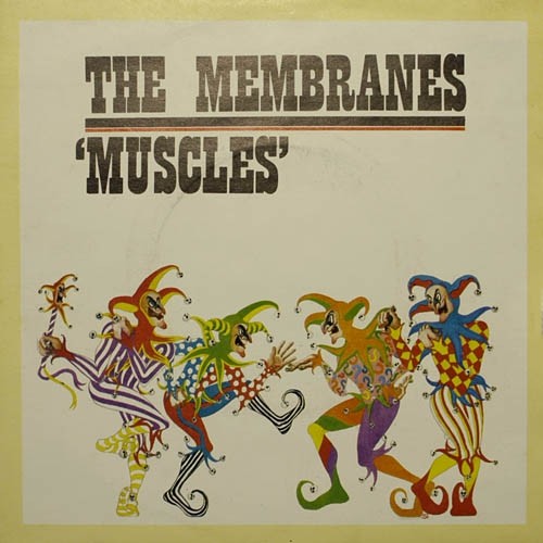 Muscles