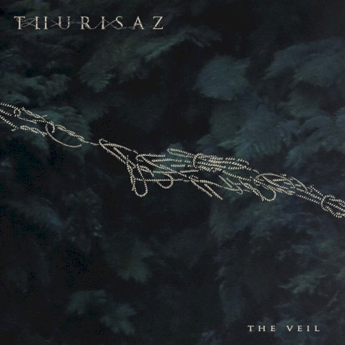 The Veil
