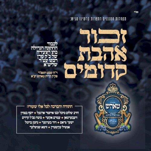 Simchas Rabeini