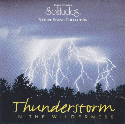 Thunderstorm in the Wilderness
